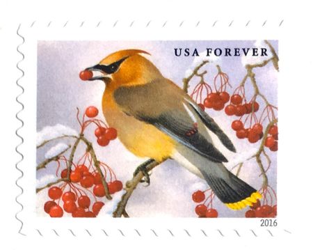 100 Winter Berry Christmas Bird Forever Stamps // Snowy Holiday Postage Stamps // Song Bird in Snow Forever Stamps for Mailing Christmas Cards